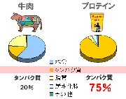 プロテインが必要な理由