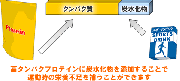 高タンパクプロテイン応用法