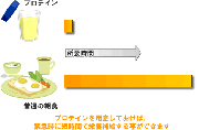 朝食・夜食にプロテイン