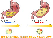 プロテインシェイクの濃度