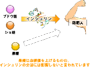 バルクアップに必要な糖分は