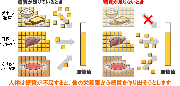 タンパク質と糖新生