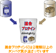 複合型プロテインの効果と特徴