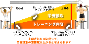 栄養摂取と運動能力の関係