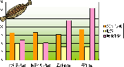 納豆でタンパク質補給