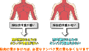 タンパク質必要量を詳しく計算