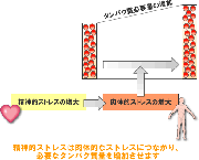 ストレスで失われるタンパク質