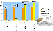 ツナ缶でタンパク質補給