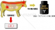 プロテインと狂牛病の関係