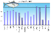 魚に含まれるタンパク質の量は？