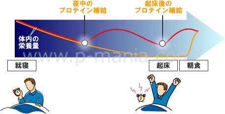 時 プロテイン 空腹